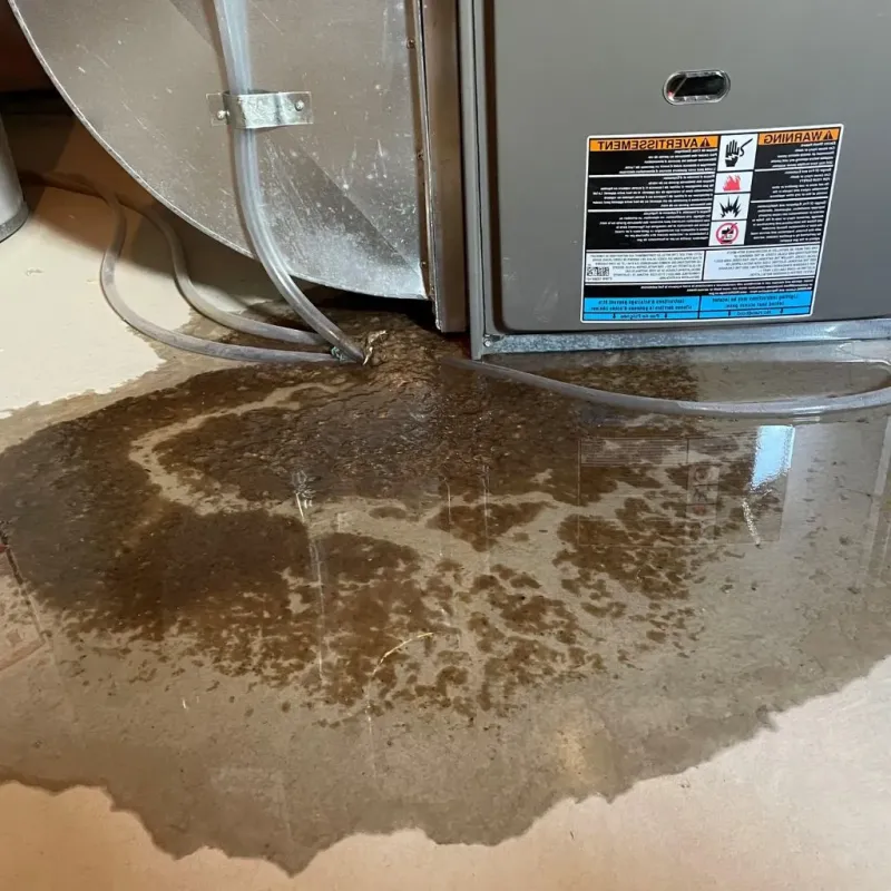 Pipe Burst and Leak Restoration in North Lakeville, MA