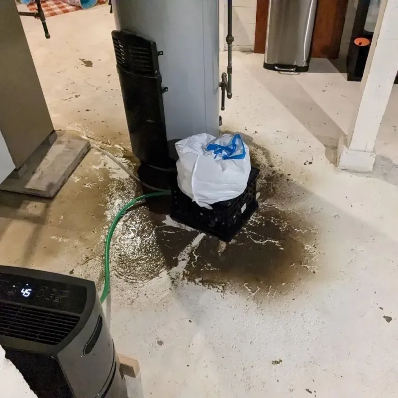 Sewage Backup Cleanup Service in North Lakeville, MA